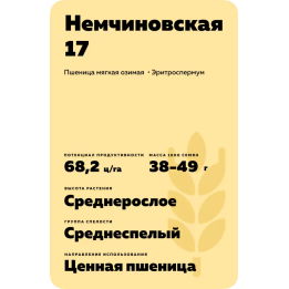 НЕМЧИНОВСКАЯ 17