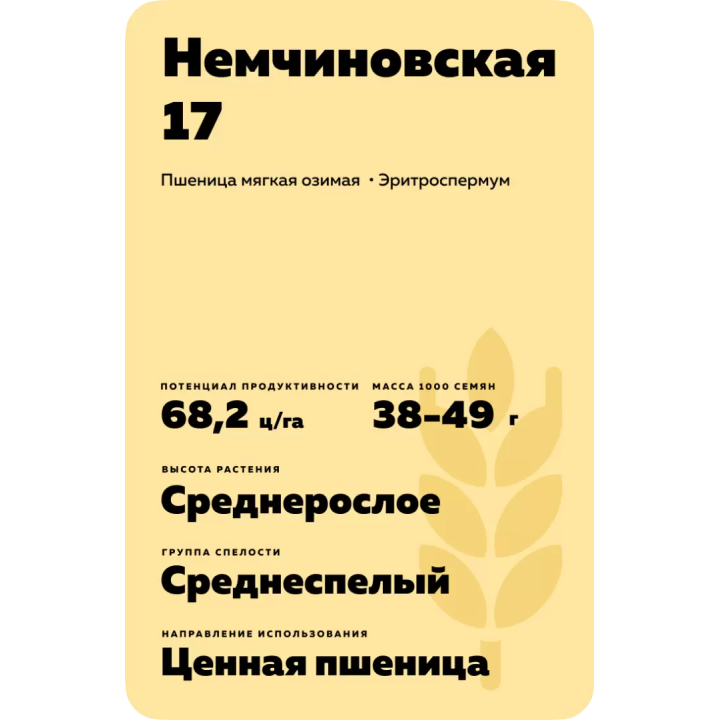 НЕМЧИНОВСКАЯ 17