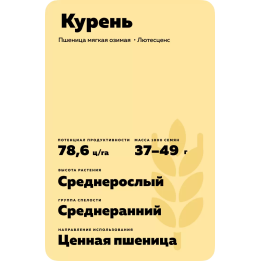 КУРЕНЬ