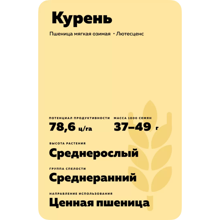 КУРЕНЬ