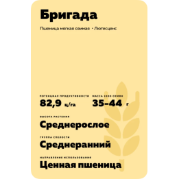 БРИГАДА