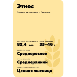 ЭТНОС