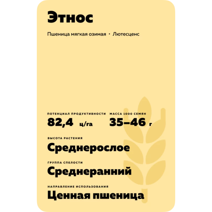 ЭТНОС