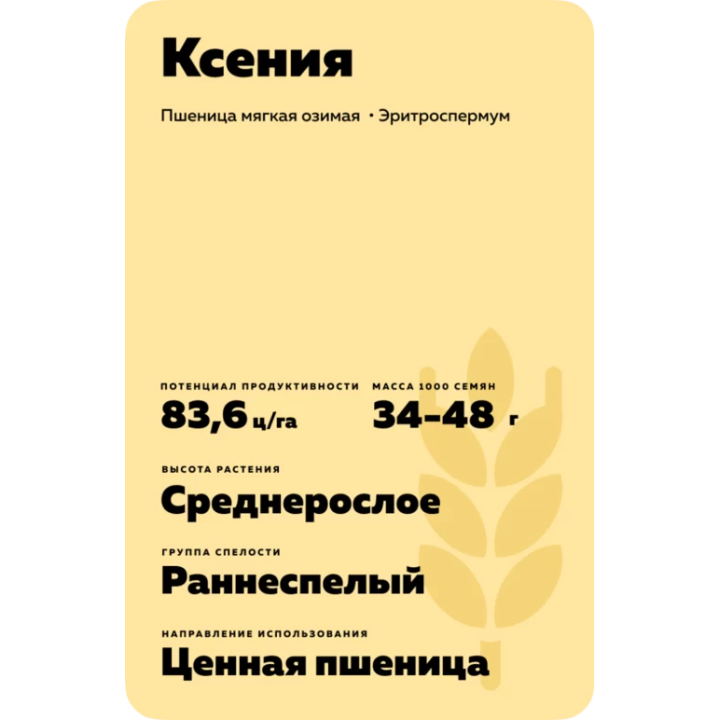 КСЕНИЯ