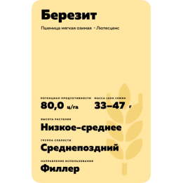 БЕРЕЗИТ