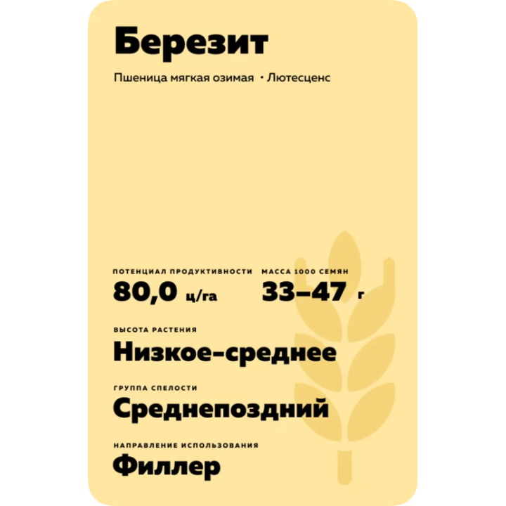 БЕРЕЗИТ