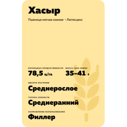 ХАСЫР