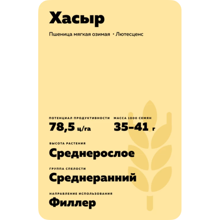 ХАСЫР