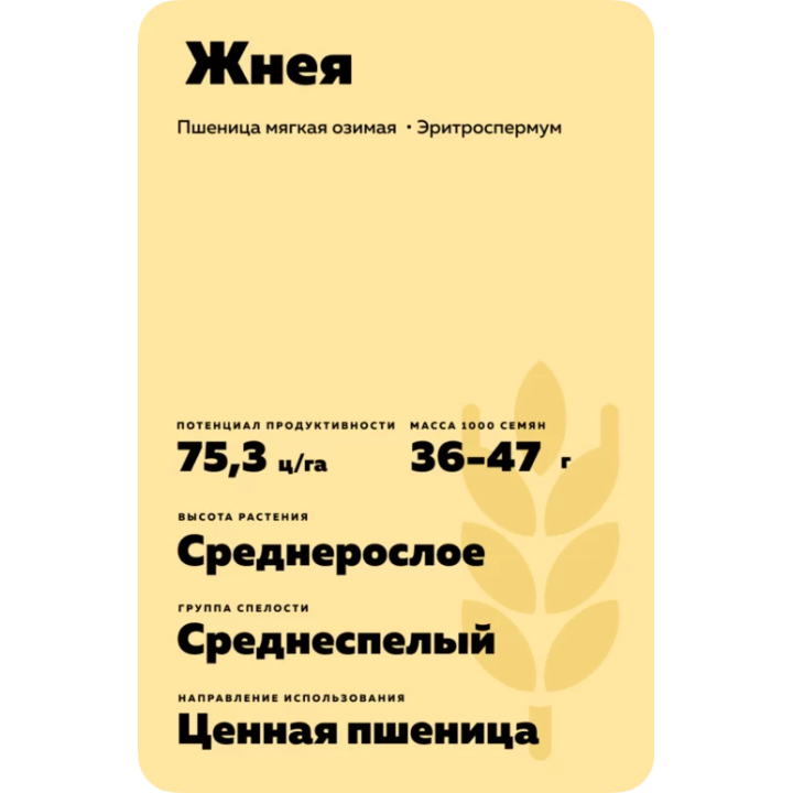 ЖНЕЯ