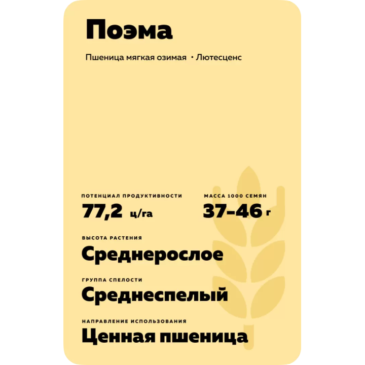 ПОЭМА
