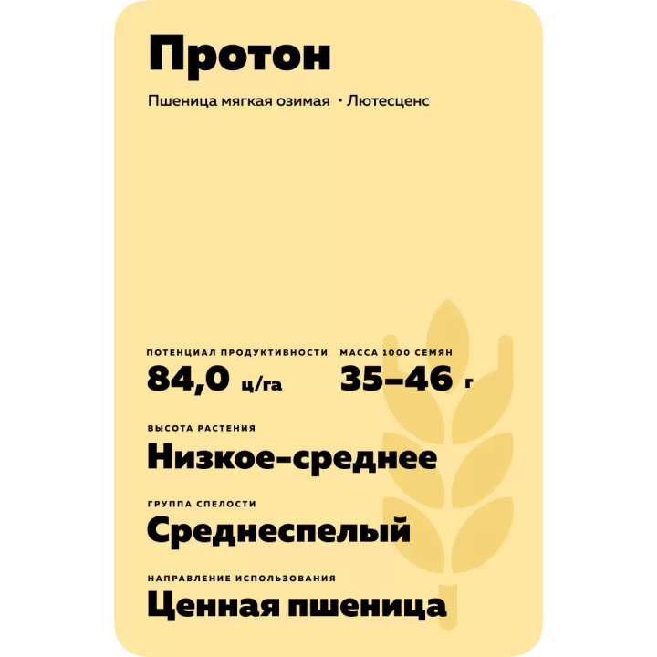 ПРОТОН
