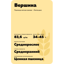 ВЕРШИНА