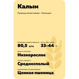 КАЛЫМ