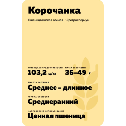 КОРОЧАНКА