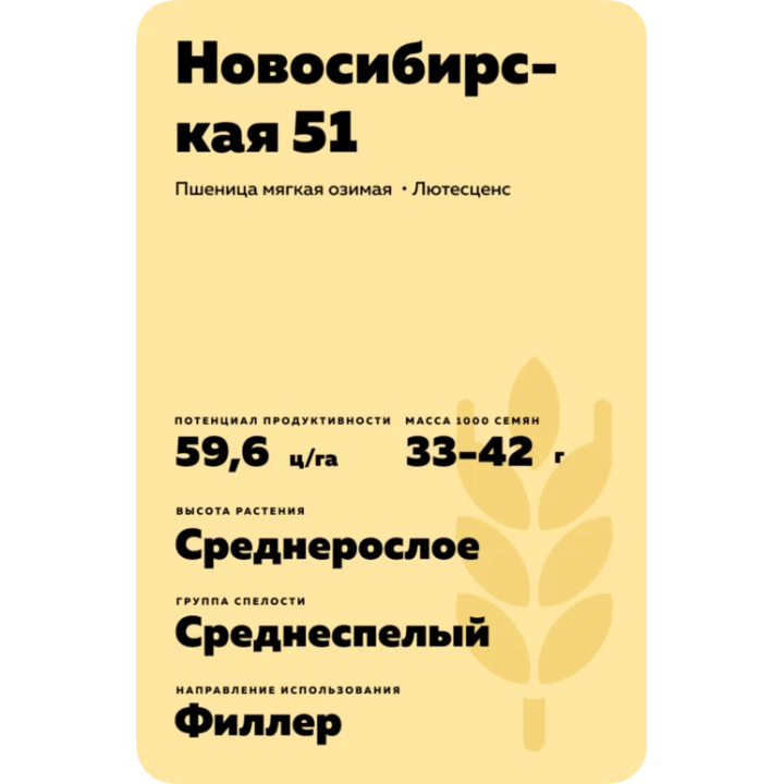 НОВОСИБИРСКАЯ 51