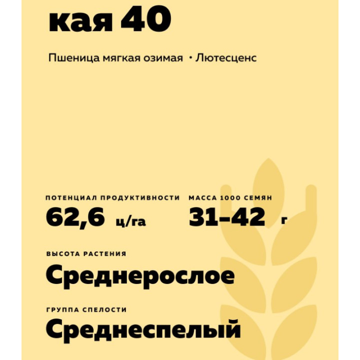 НОВОСИБИРСКАЯ 40