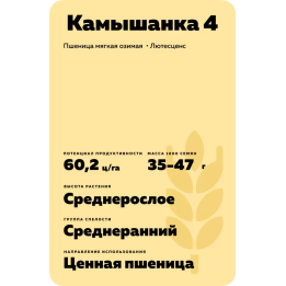 КАМЫШАНКА 4