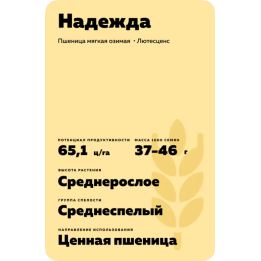 НАДЕЖДА