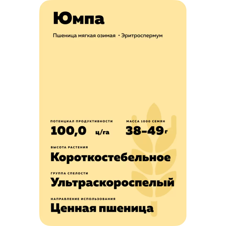 ЮМПА