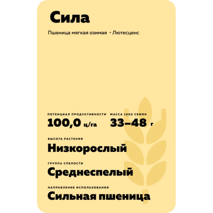 СИЛА