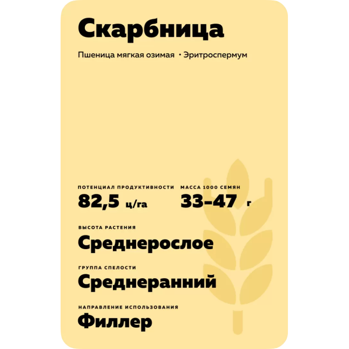 СКАРБНИЦА