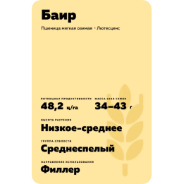 БАИР