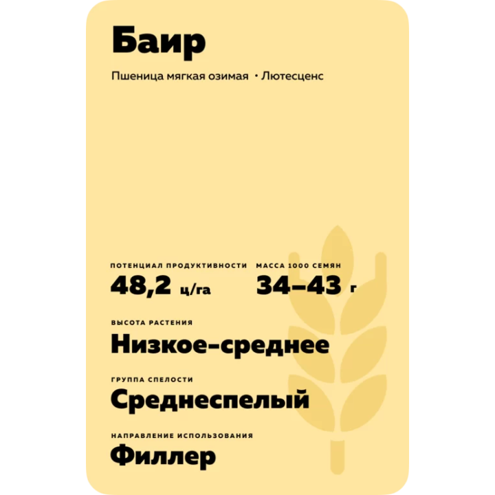 БАИР