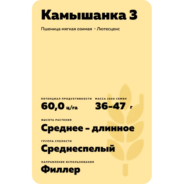 КАМЫШАНКА 3