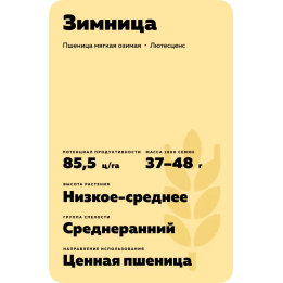 ЗИМНИЦА