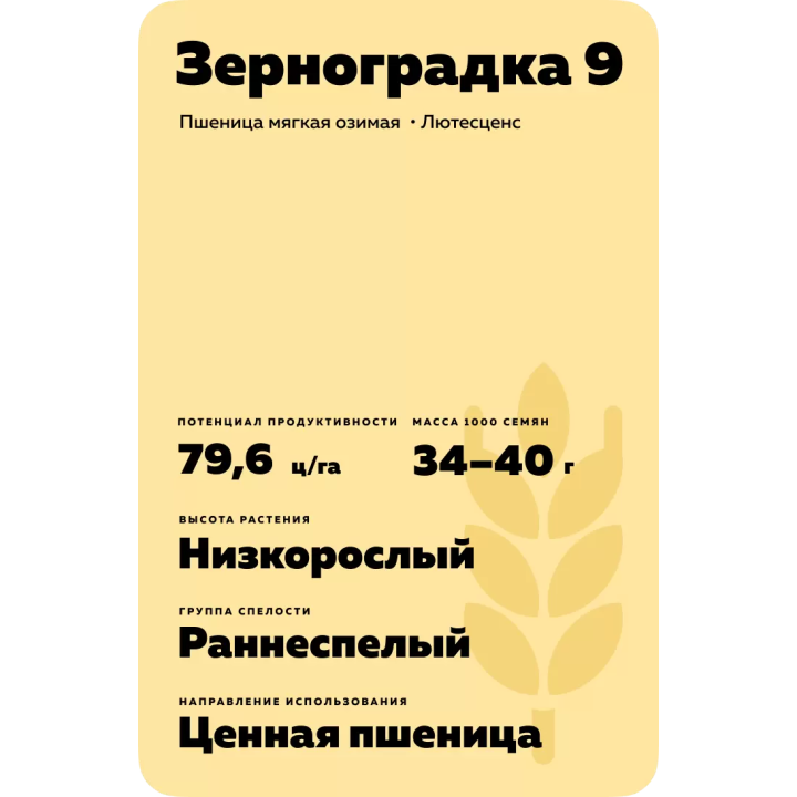 ЗЕРНОГРАДКА 9