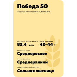 ПОБЕДА 50