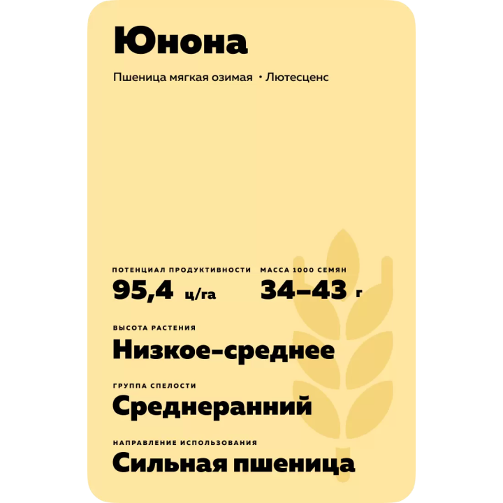 ЮНОНА