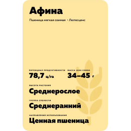 АФИНА