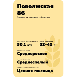 ПОВОЛЖСКАЯ 86
