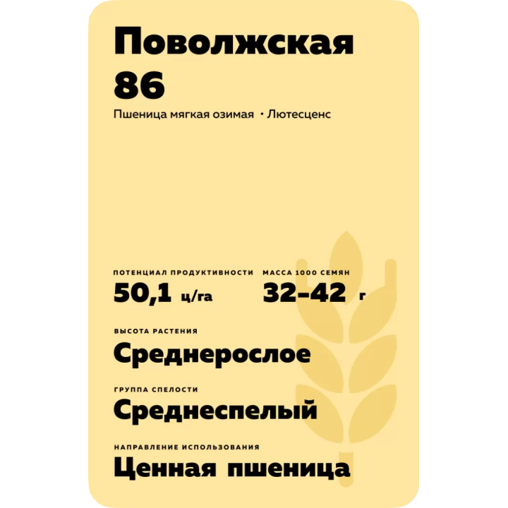 ПОВОЛЖСКАЯ 86
