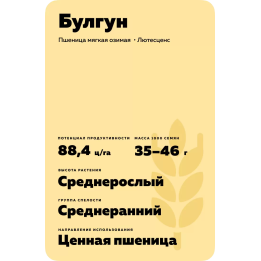 БУЛГУН