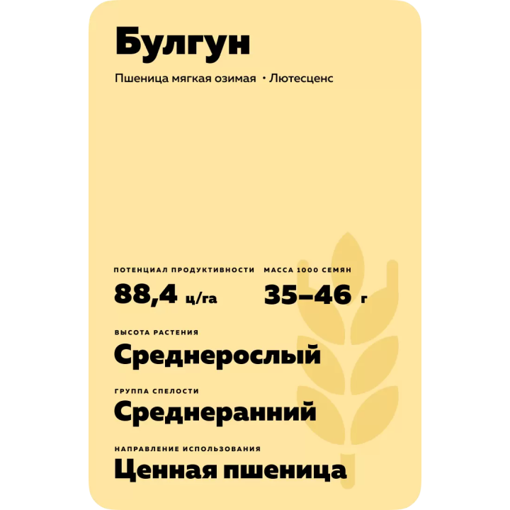 БУЛГУН