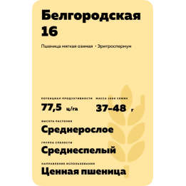 БЕЛГОРОДСКАЯ 16
