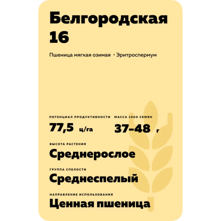 БЕЛГОРОДСКАЯ 16
