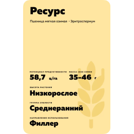 РЕСУРС