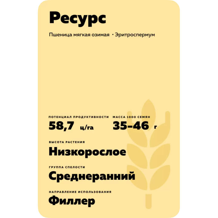 РЕСУРС