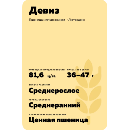 ДЕВИЗ