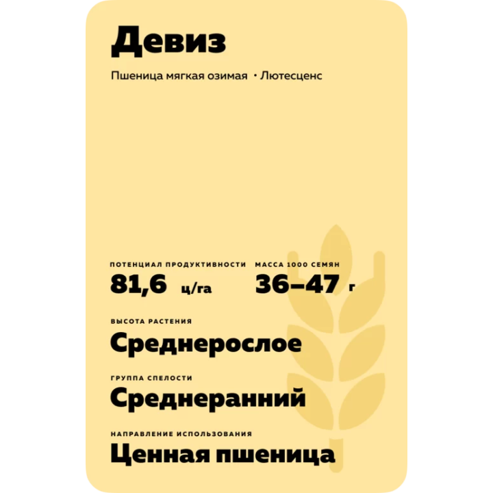 ДЕВИЗ