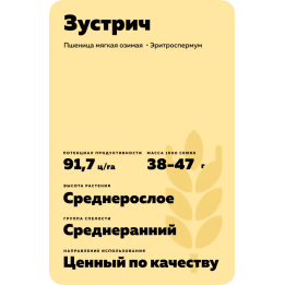ЗУСТРИЧ