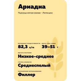 АРИАДНА