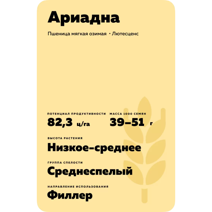 АРИАДНА