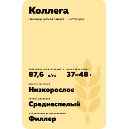 КОЛЛЕГА