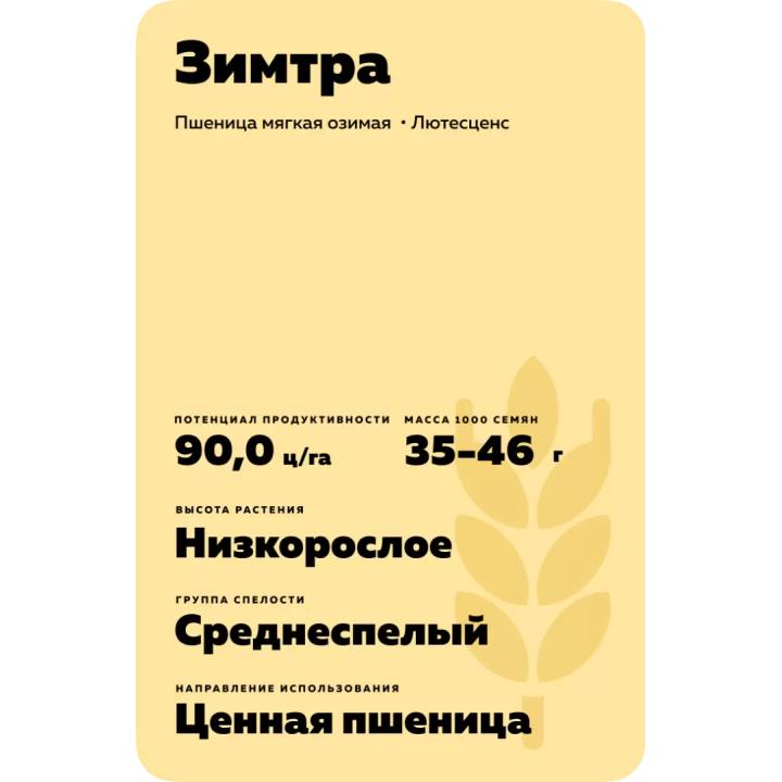ЗИМТРА