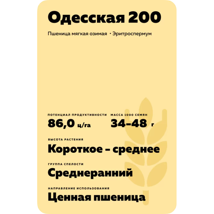 ОДЕССКАЯ 200