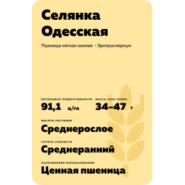 СЕЛЯНКА ОДЕССКАЯ